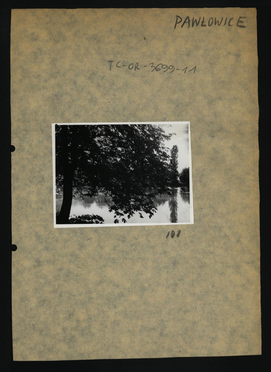 3 fotografie czarno-białe przedstawiające fragmenty miejscowego parku, skan 2