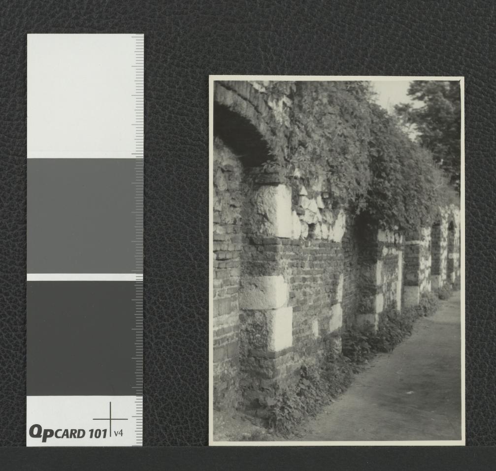 pozytyw przedstawiający mur klasztorny od strony wewnętrznej , skan 1