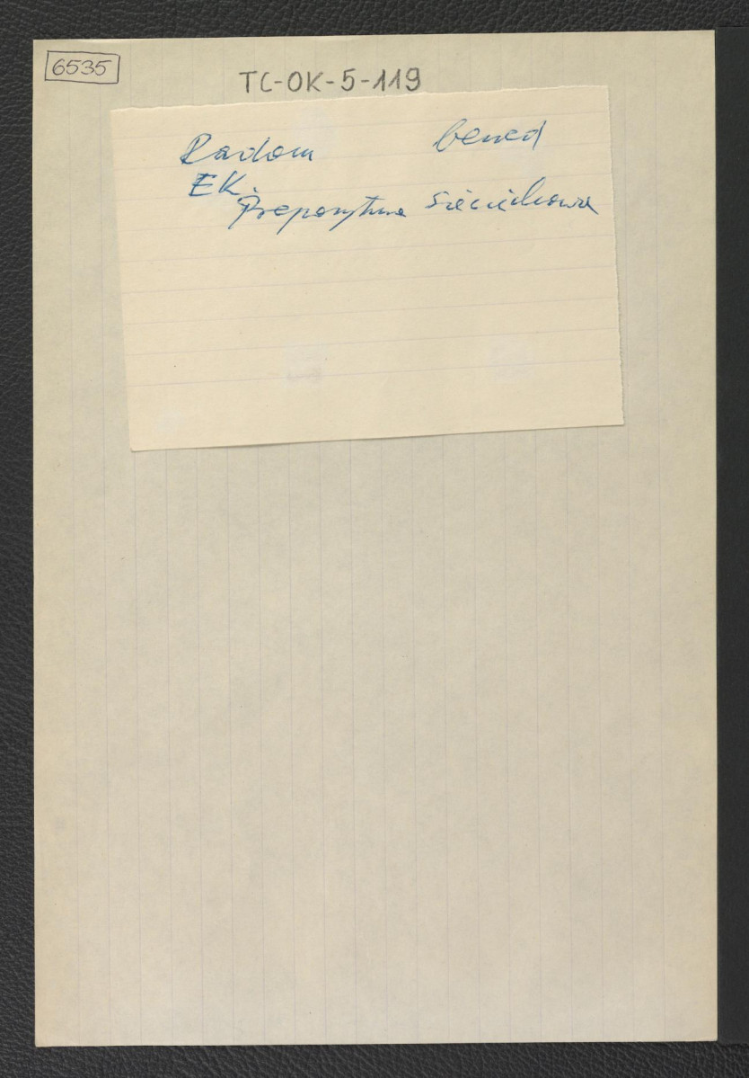 odsyłacz do Podręczna Encyklopedia Kościelna, red. ks. Zygmunt Chełmicki, tom I-XLIV, Warszawa, 1904-1916 wzmiankujący miejscową prepozyturę Sieciechowa, skan 1