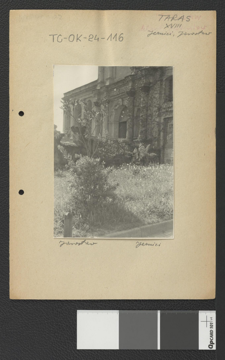 fragment miejscowego ogrodu z zabudową w tle, skan 1