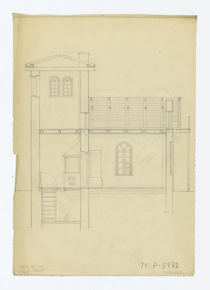 Morysin-przekrój podłużny, skan 1
