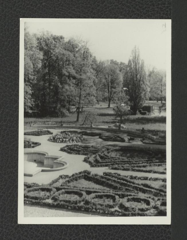 6 fotografii czarno-białych przedstawiających Ogród Różany w trakcie prac konserwatorskich, skan 5