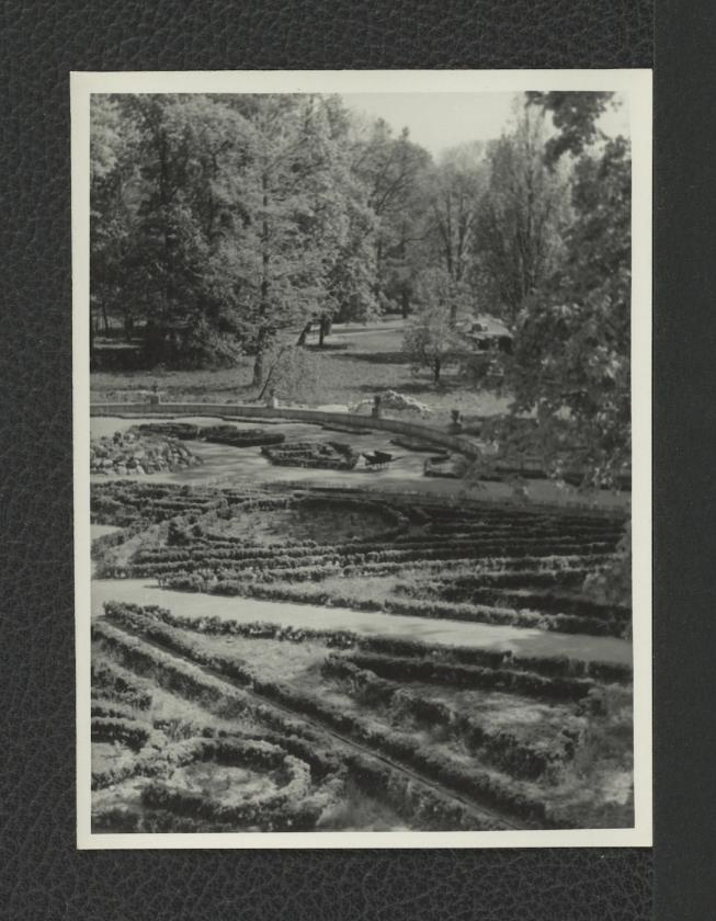 6 fotografii czarno-białych przedstawiających Ogród Różany w trakcie prac konserwatorskich, skan 6