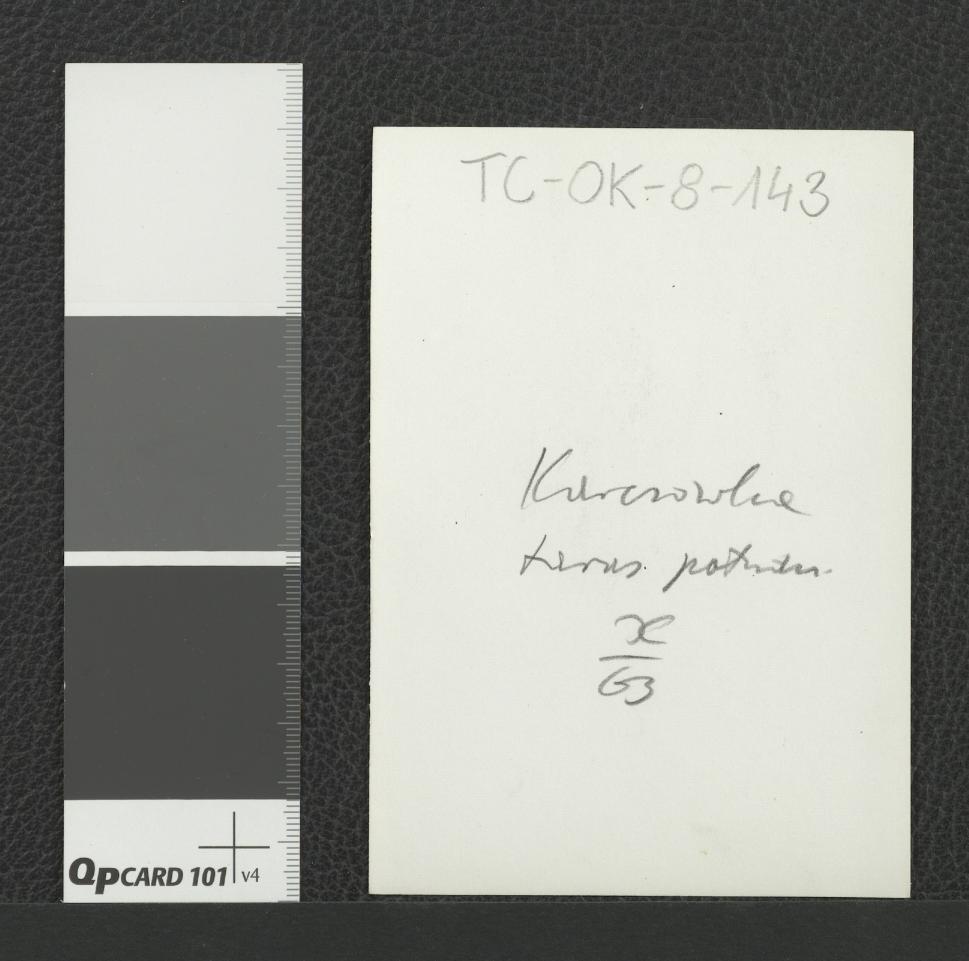 fragment muru klasztornego , skan 2