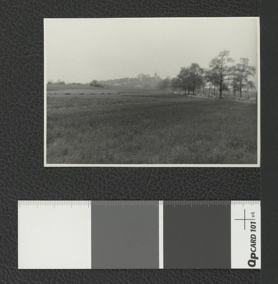 aleja prowadząca do klasztoru, skan 1