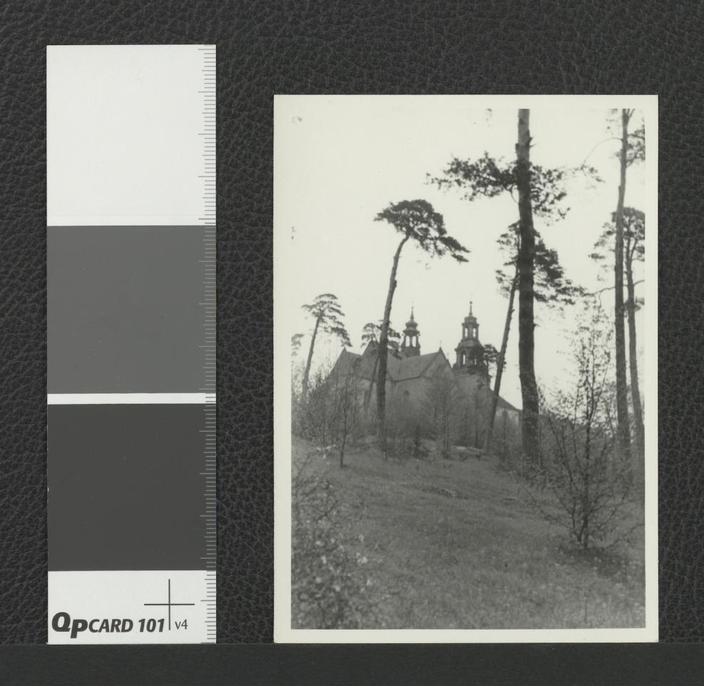 fragment przyklasztornego ogrodu we wschodniej części zespołu, skan 1