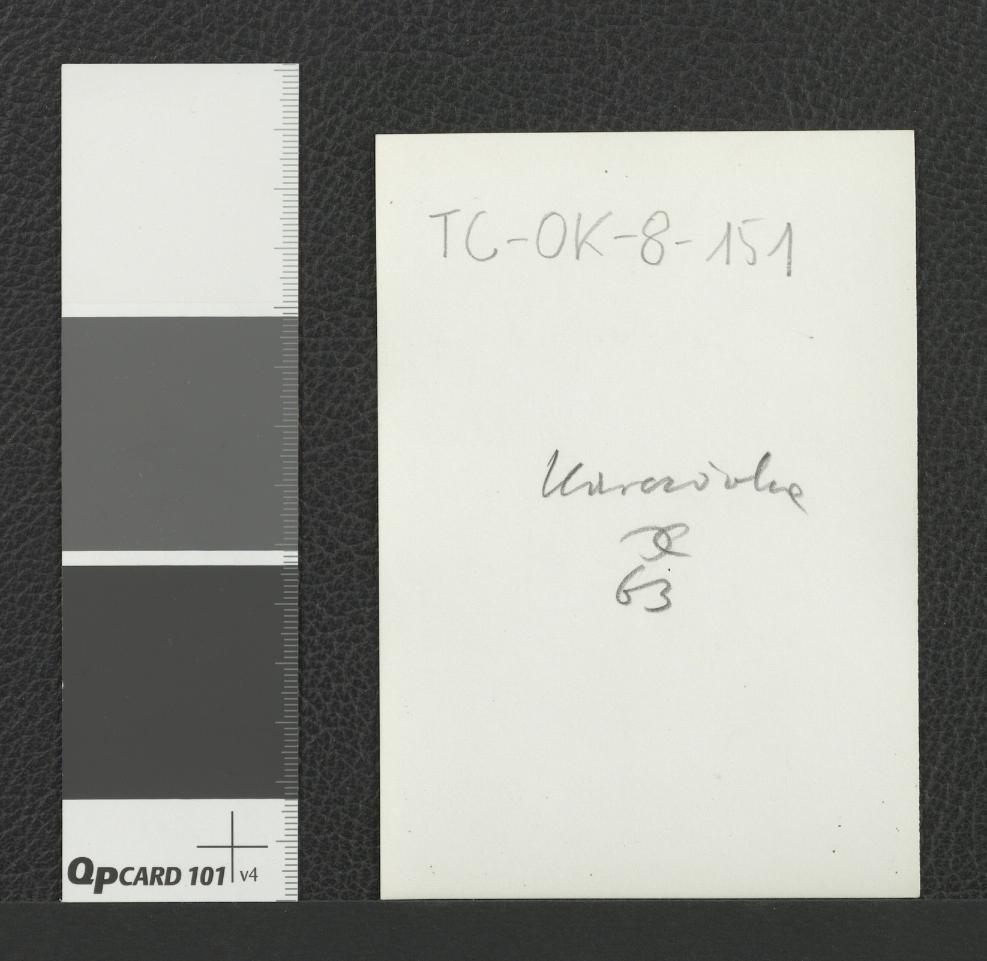fragment przyklasztornego ogrodu we wschodniej części zespołu, skan 2