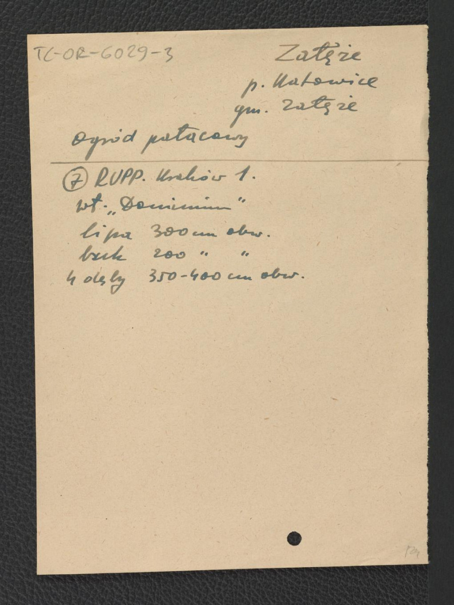 wypis z RUPP Kraków 1 wzmiankujące drzewostan w miejscowym parku , skan 1