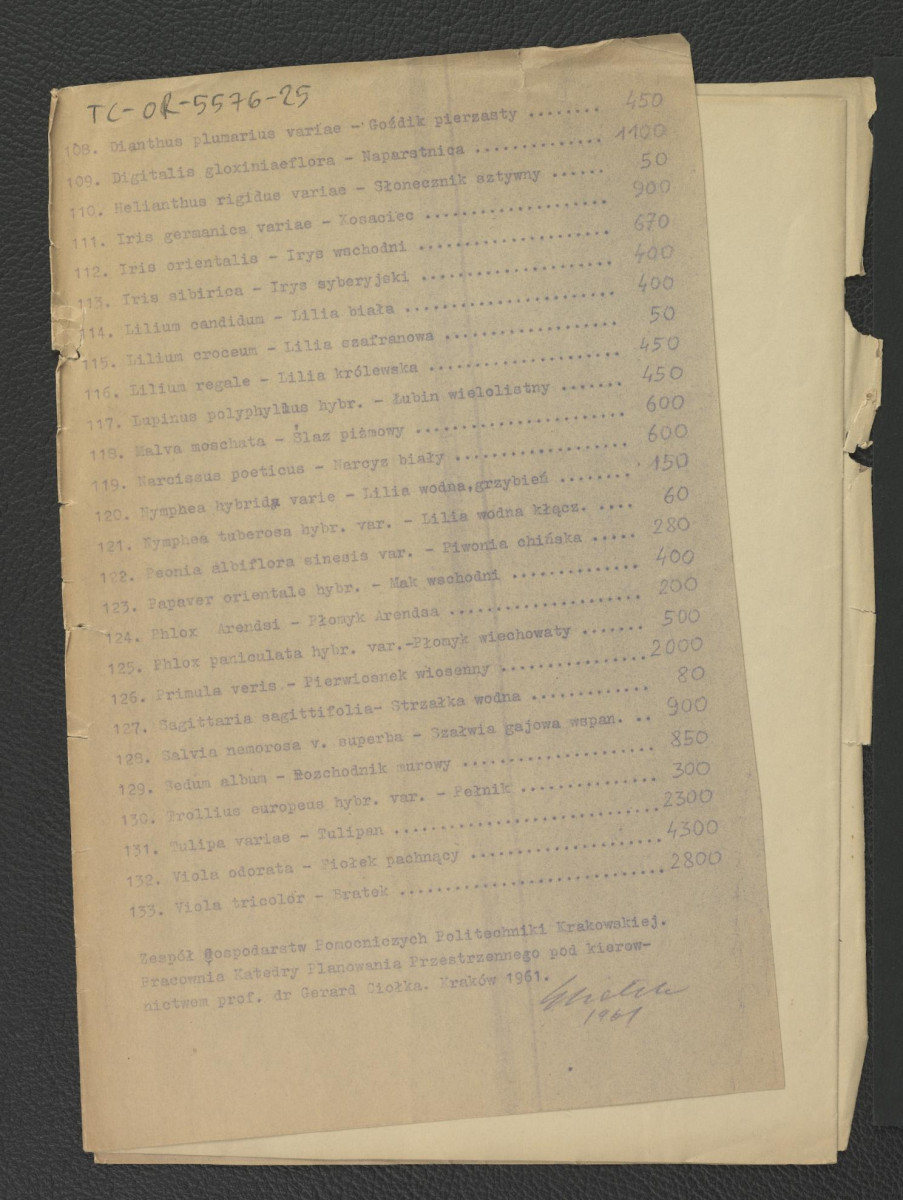 4 kalki połączone; projekt techniczny wykazu materiału roślinnego oraz kopia tych samych dokumentów, skan 8