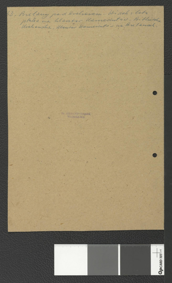 wycinek być może z „Kłosy” (1874) zawierający reprodukcję ryciny przedstawiający widok z tzw. lotu ptaka na klasztor od o zachodu, skan 2