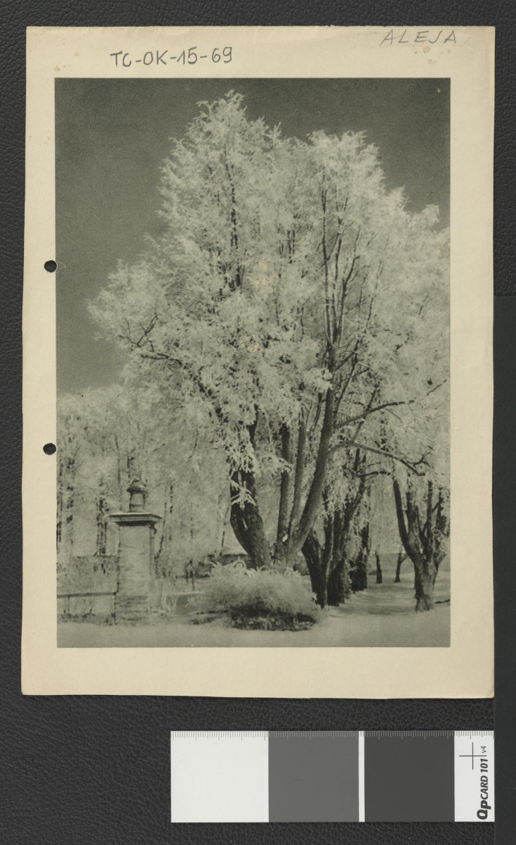 nadbitka reprodukcji fotografii fragmentu miejscowego parku zamieszczona w Ciołek Gerard, Ogrody polskie, Warszawa 1954, strona 30, skan 1