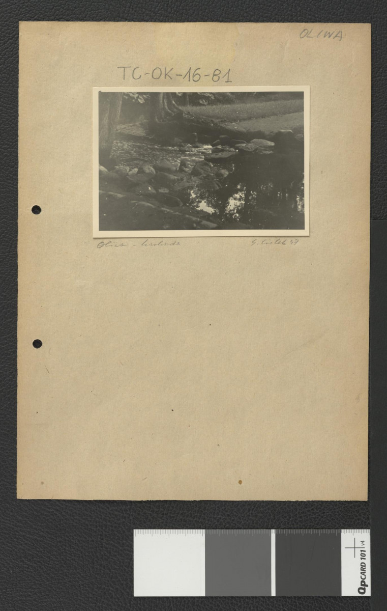 fragment kaskady wodnej, skan 1