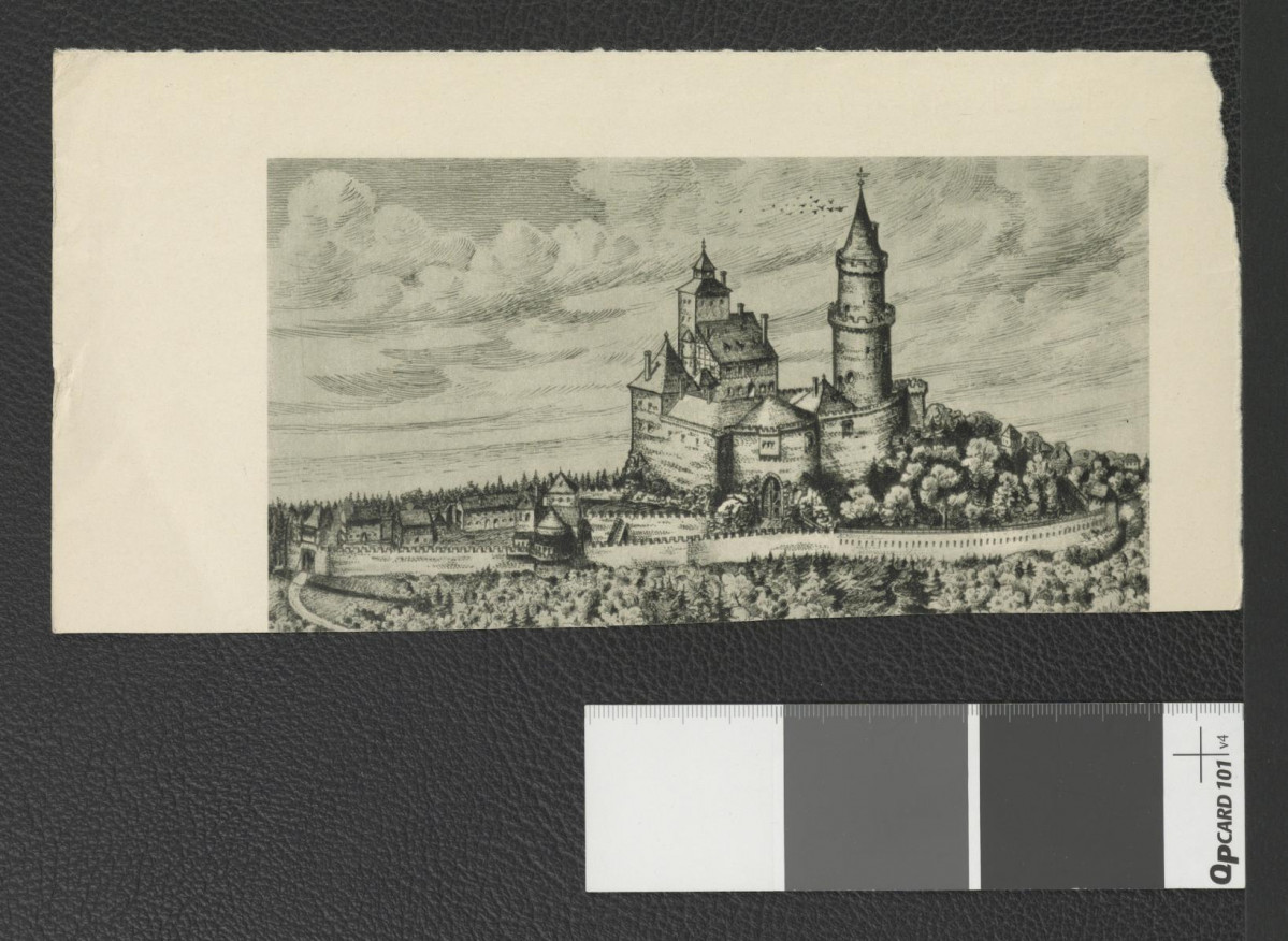 reprodukcje ryciny zamieszczone Schmid B., Die Bau-und Kunstenkmaler de Provinz Westpreussen, Gdańsk 1899 przedsawiające wiodok z tzw. lotu ptaka na miejscowy klasztor w roku 1678 w Ciołek Gerard, Ogrody polskie, Warszawa 1954, s. 19, skan 2