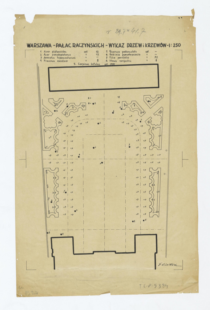 Pałac i Ogród Radziejowskiego (Raczyńskich)-plan ogrodu z wykazem projektowanych drzew, skan 1