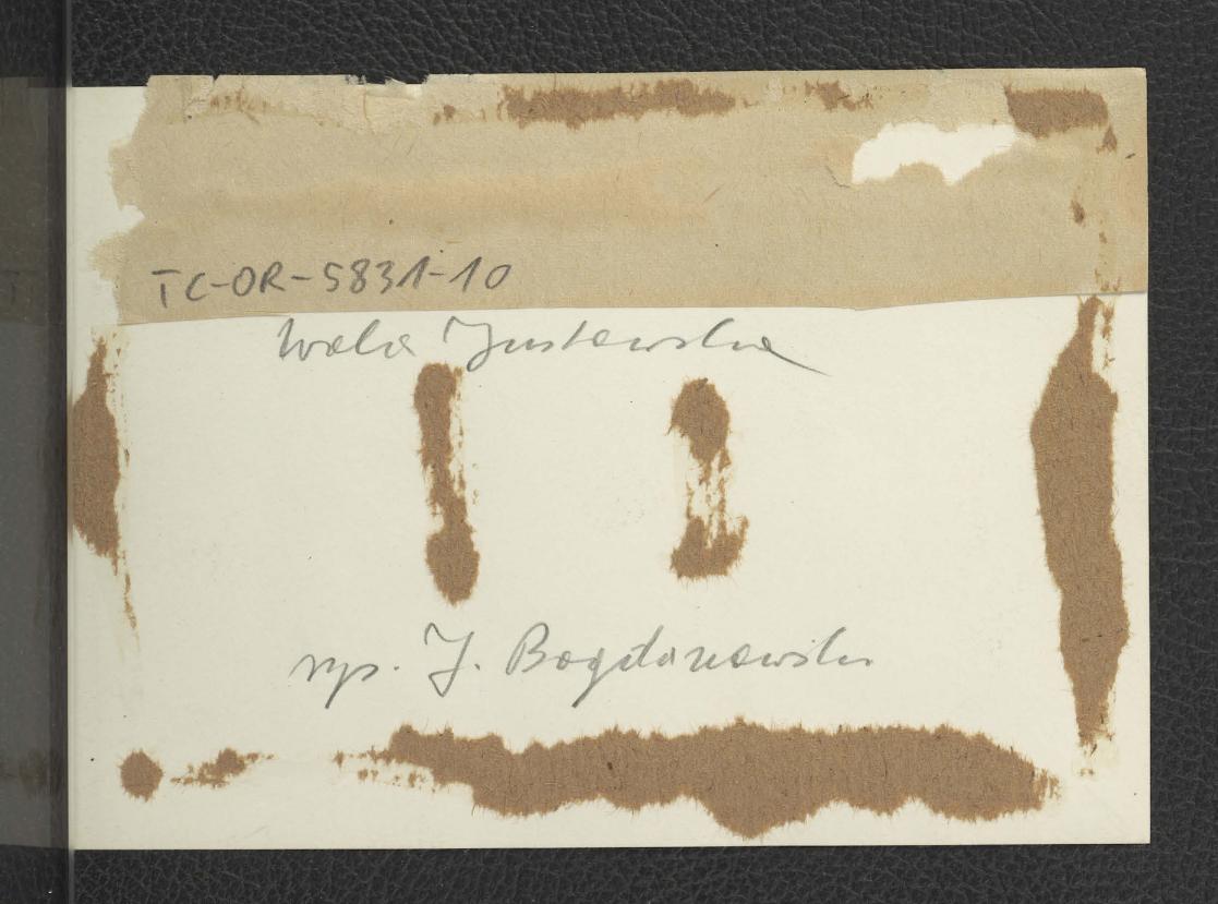 fotografia czarno-biała przedstawiająca rysunek autorstwa J. Bogdanowskiego ukazujący miejscowy pałac wraz z zewnętrznymi schodami        , skan 2