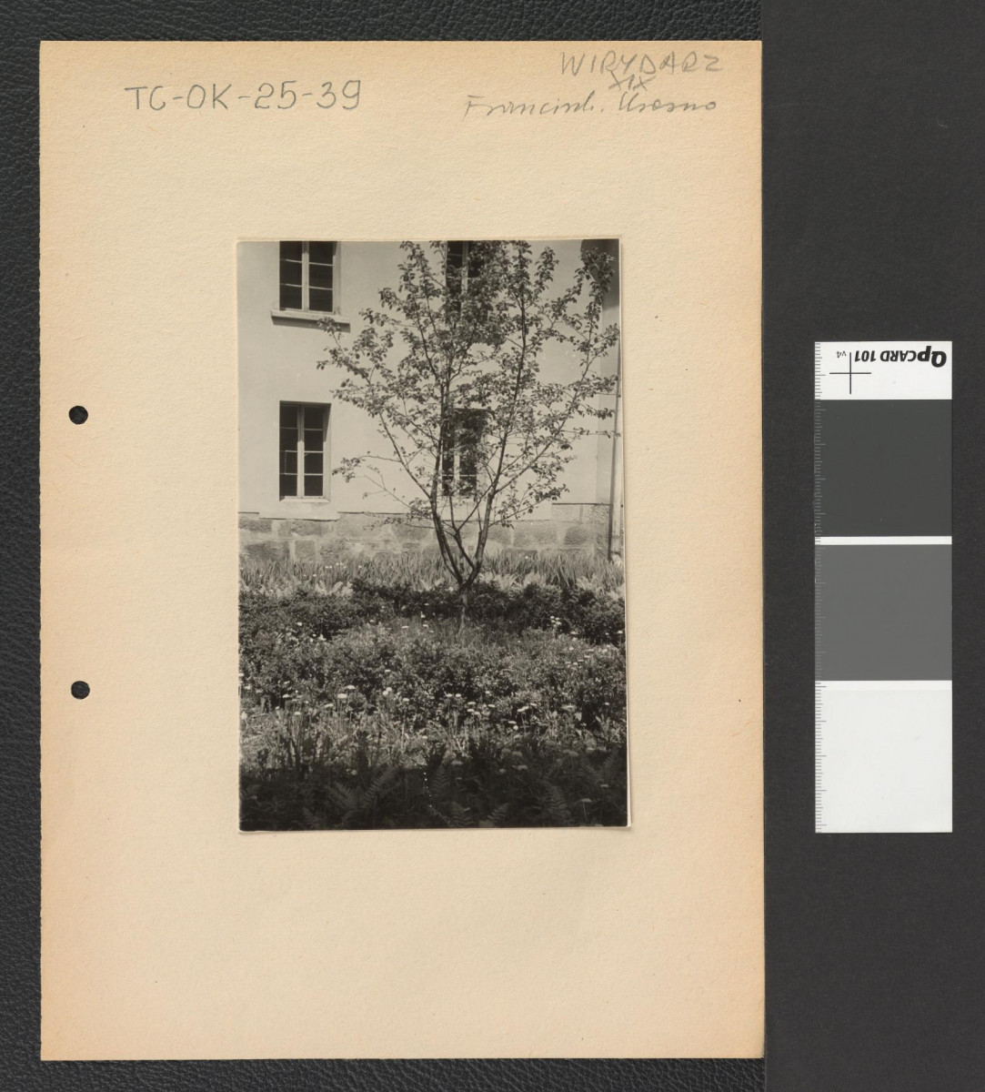 wirydarz miejscowego klasztoru , skan 1