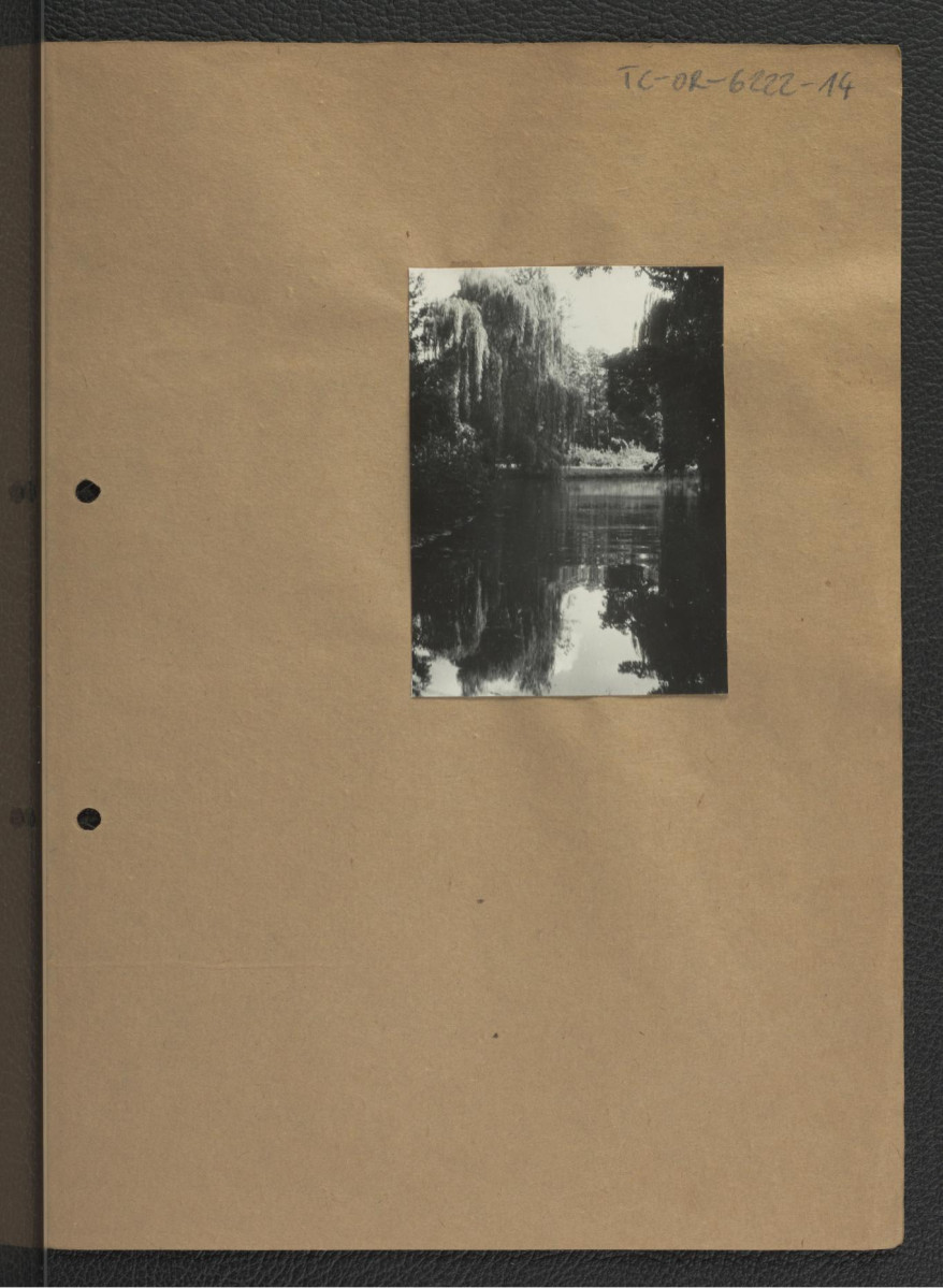 fotografia czarno-biała przedstawiająca fragment stawu, skan 1