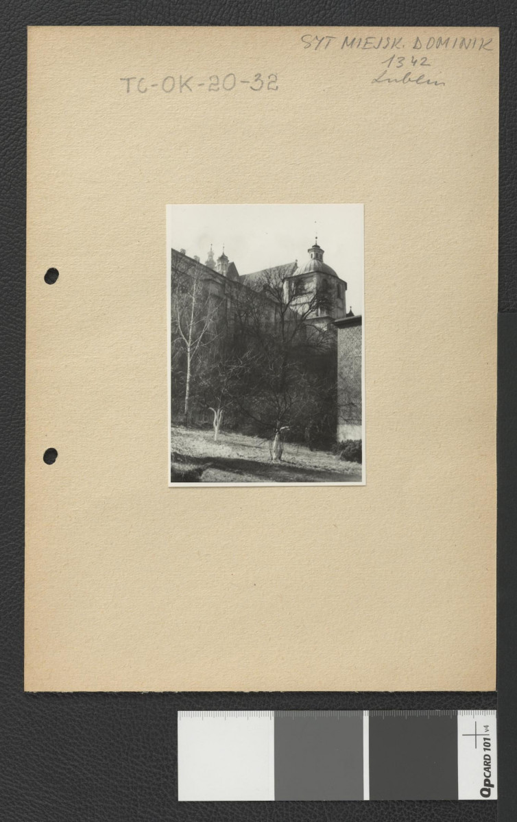 fragment roślinności u podnóża klasztornej skarpy widocznej od południowego wschodu , skan 1