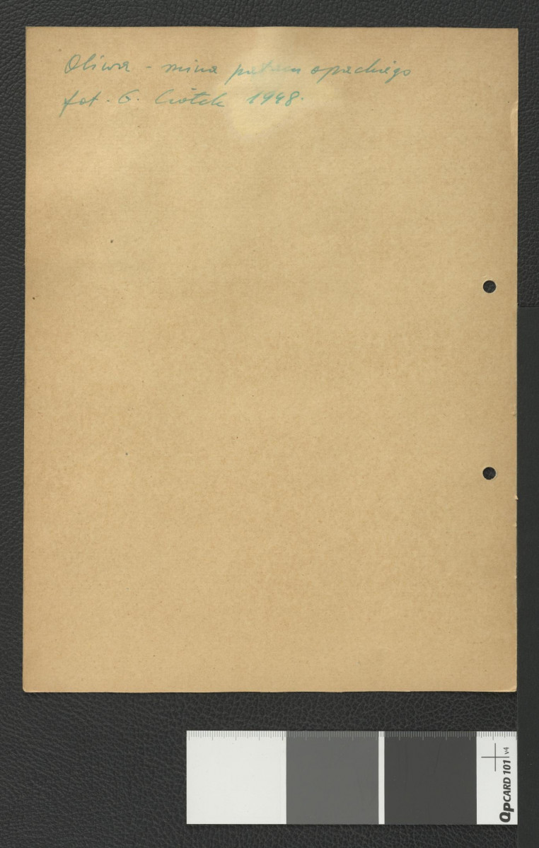 klomb ogrodowy wraz ze zniszczonym budynkiem na terenie parku opackiego, skan 2