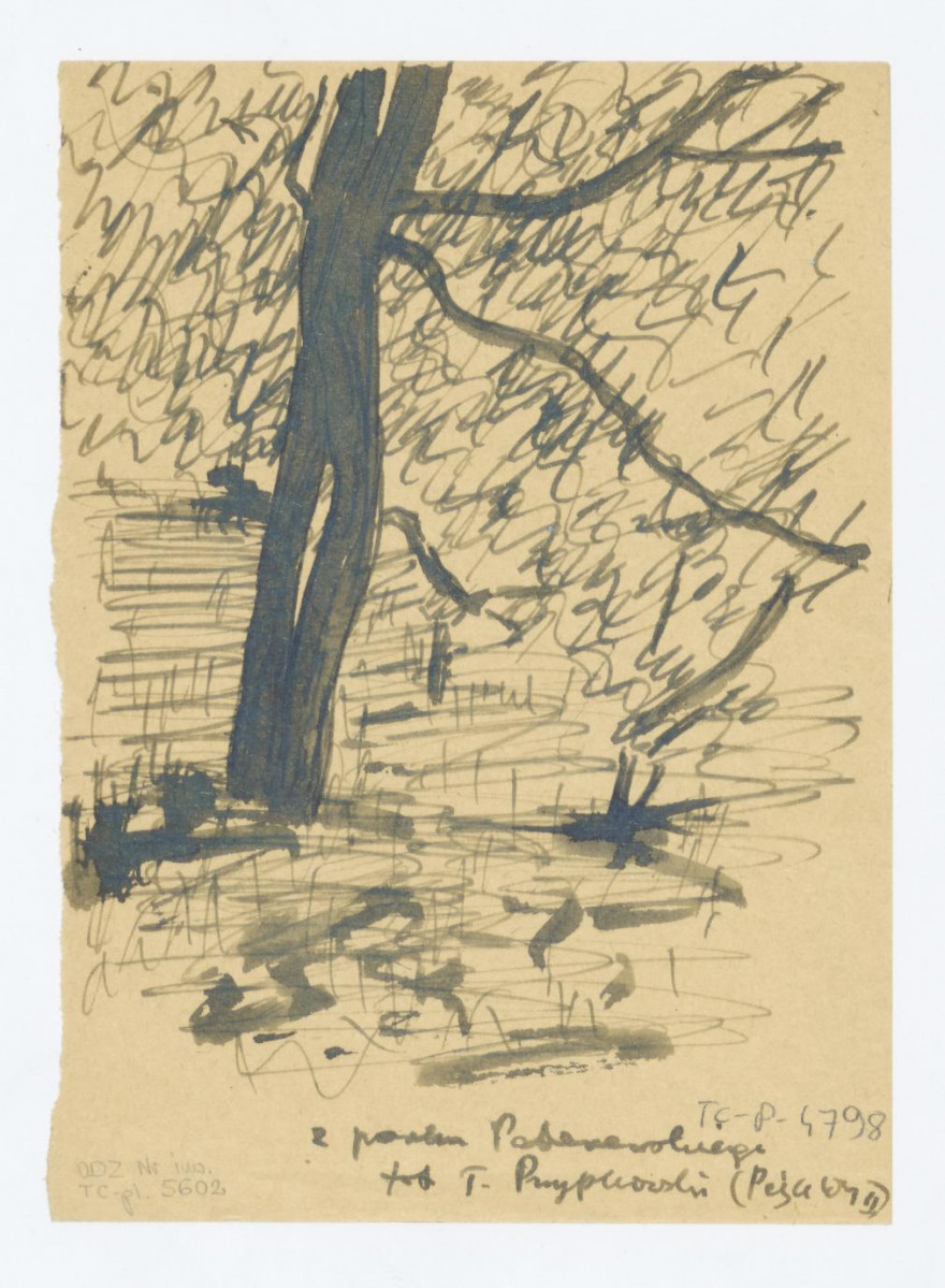 fragment. Przerys z fotografii T. Przypkowskiego. Napisy: z parku Paderewskiego fot. T. Przypkowski / P……II/, skan 1