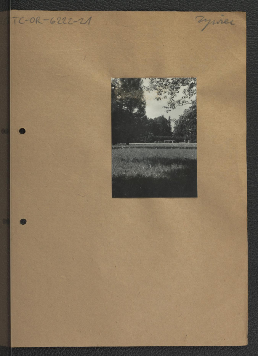 2 fotografie czarno-białe przedstawiające fragmenty miejscowego parku, skan 2