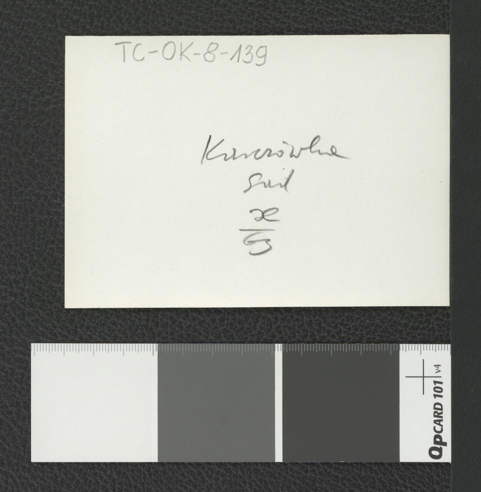 drzewa w przyklasztornym ogrodzie, skan 2