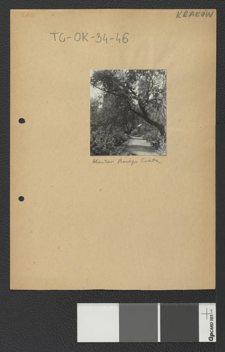 alejka w sadzie przy miejscowym klasztorze, skan 1