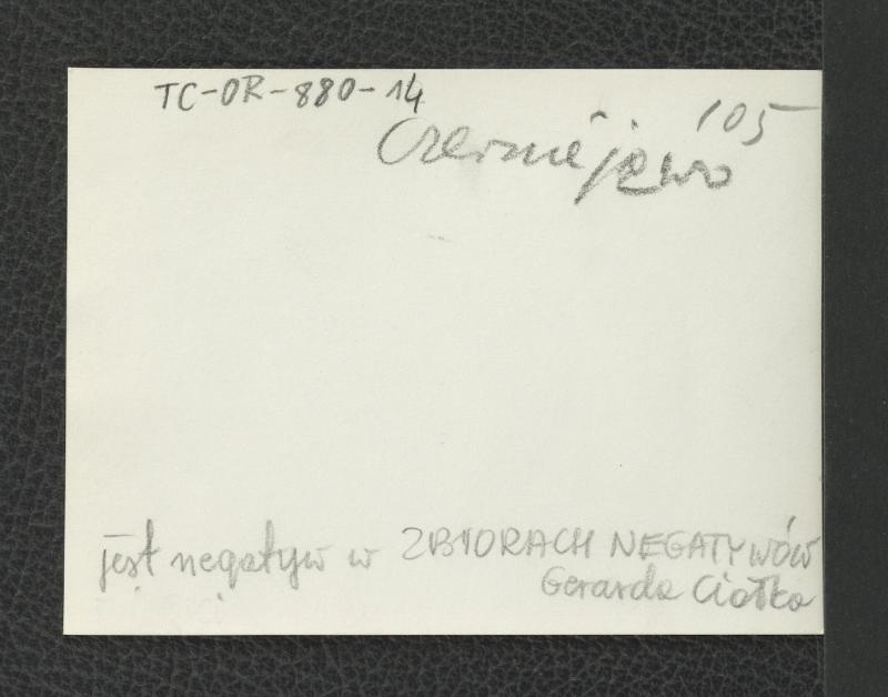 Zabudowania pałacowe, skan 4