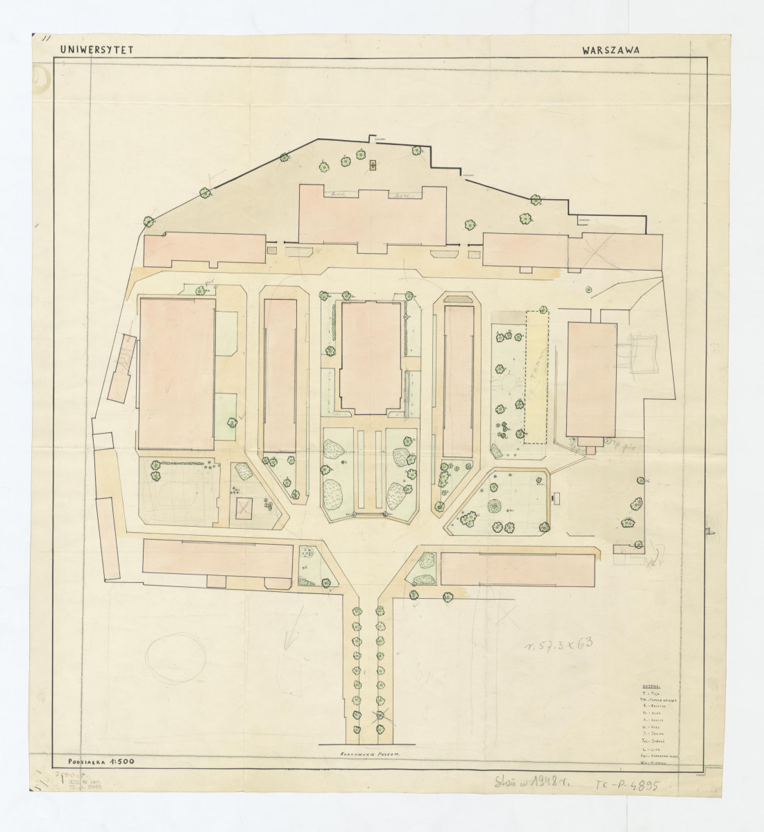 plan sytuacyjny budowli istniejącej zieleni na górnym tarasie według stanu z 1948 roku, skan 1