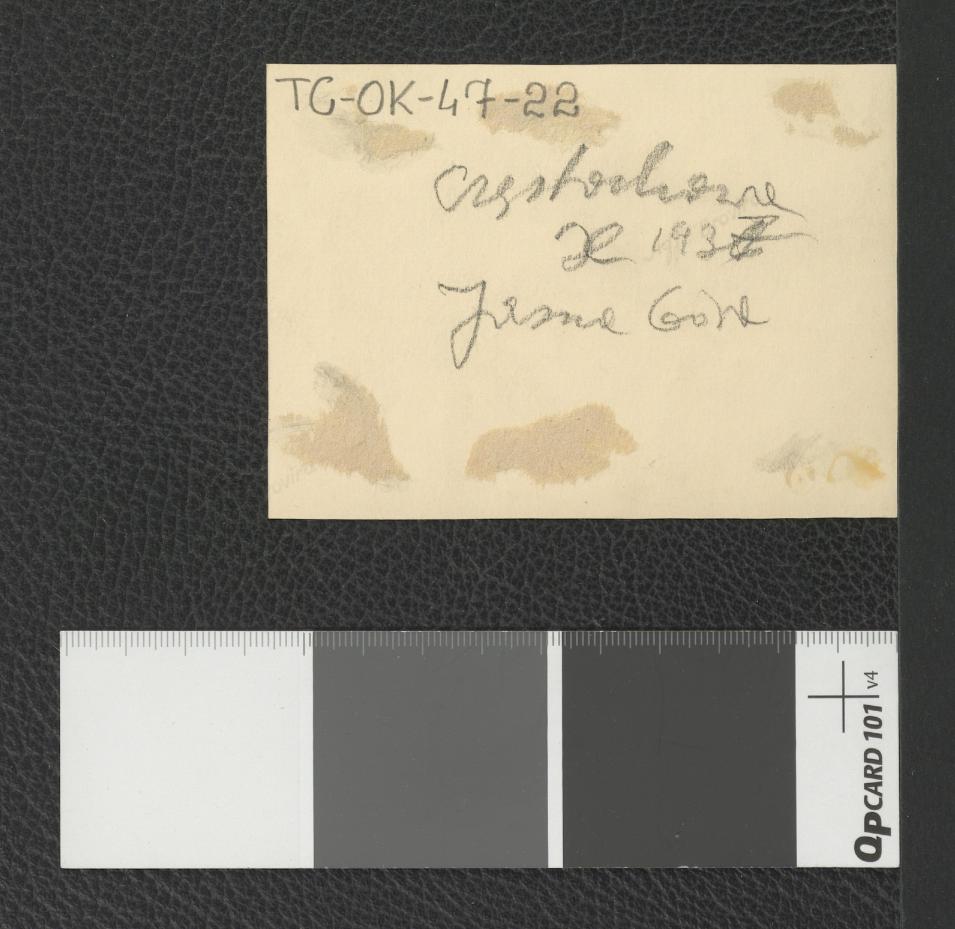 widok z wieży klasztornej na zabudowania miejscowego zespołu, skan 2