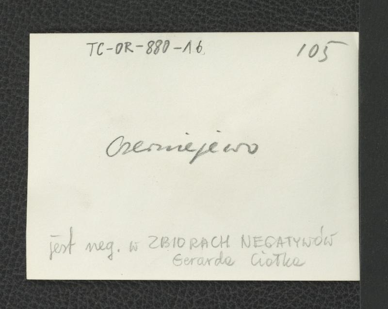 Fragment parku, skan 2
