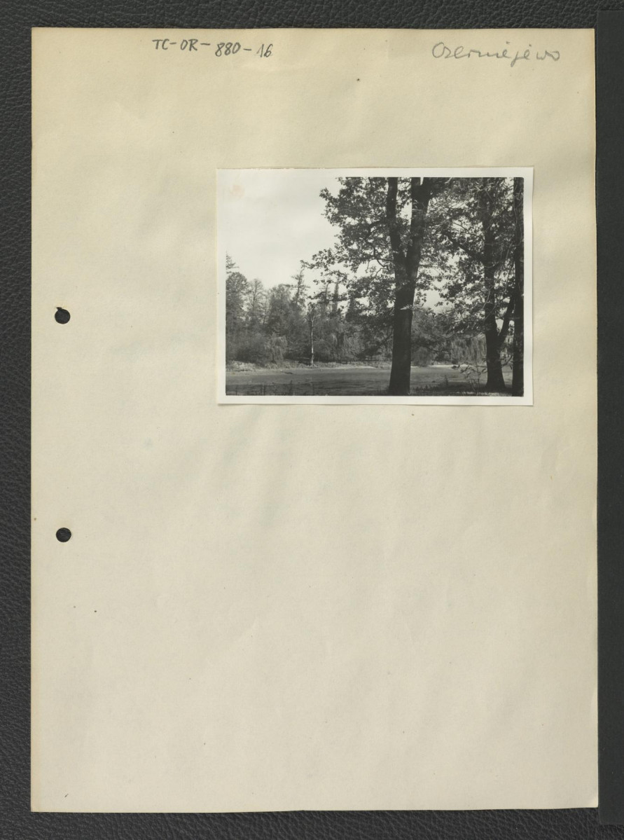 Fragment parku, skan 5