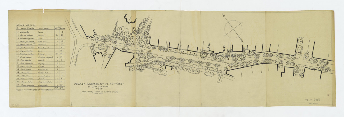 projekt zadrzewienia ul. Krupówki, skan 1
