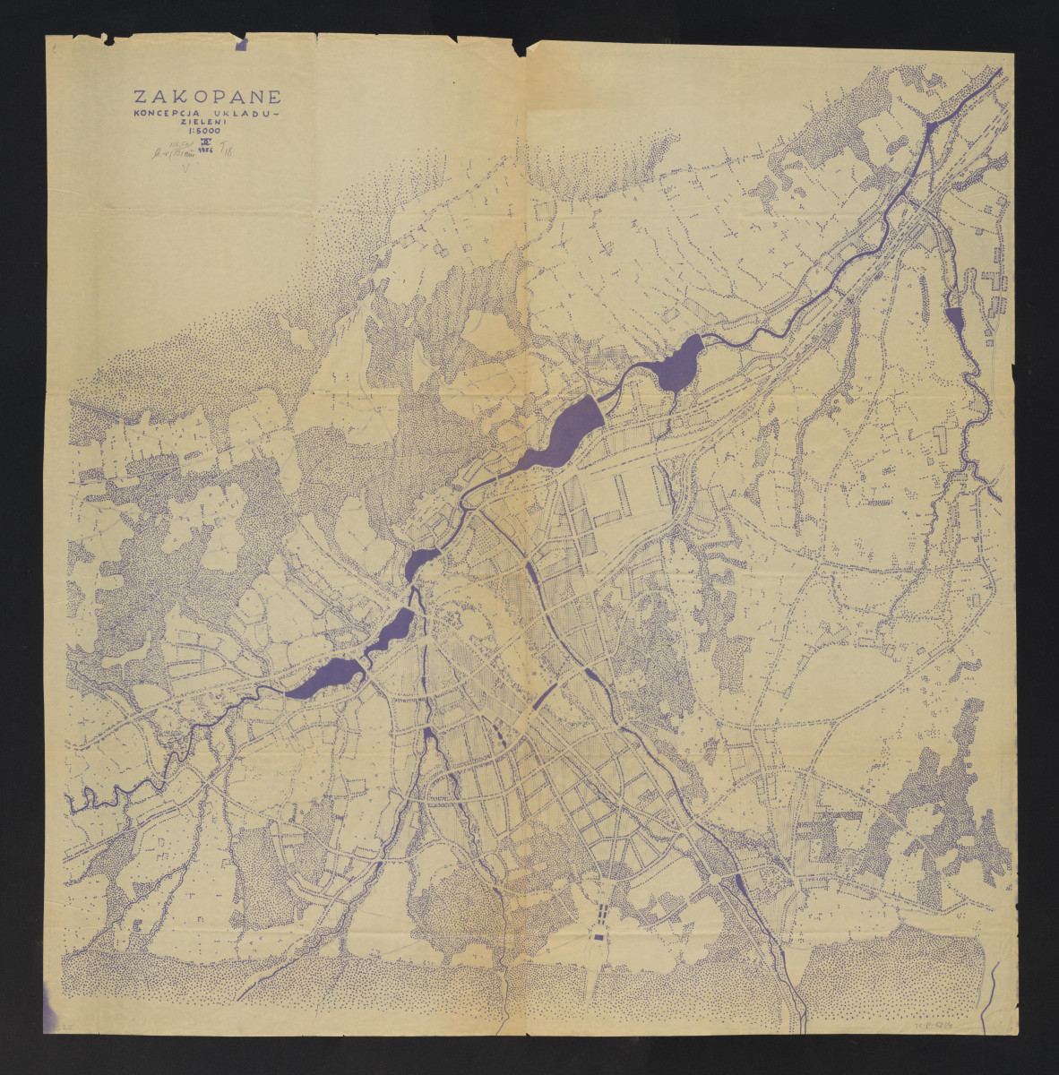 koncepcja układu zieleni w Zakopanem, skan 1