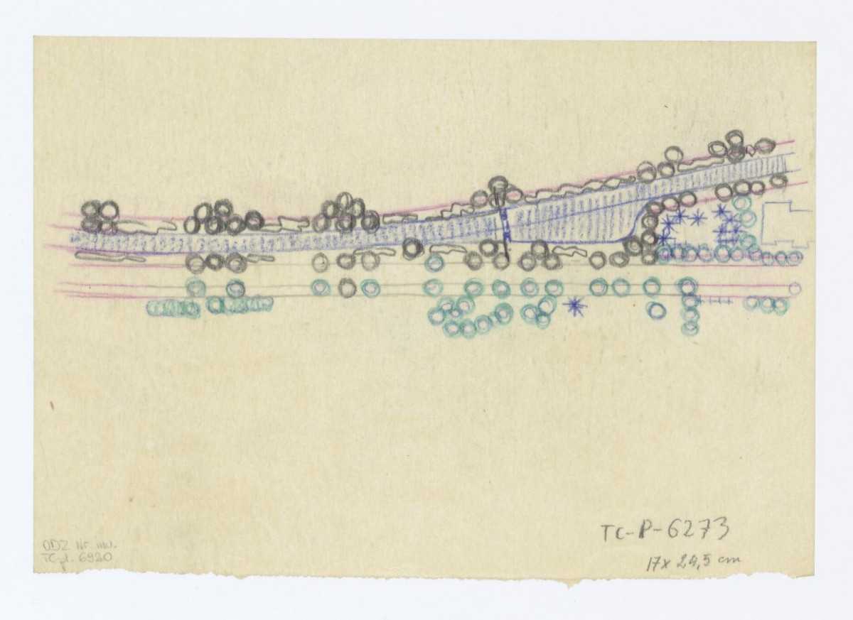 zadrzewienie ulicy Sienkiewicza, skan 1