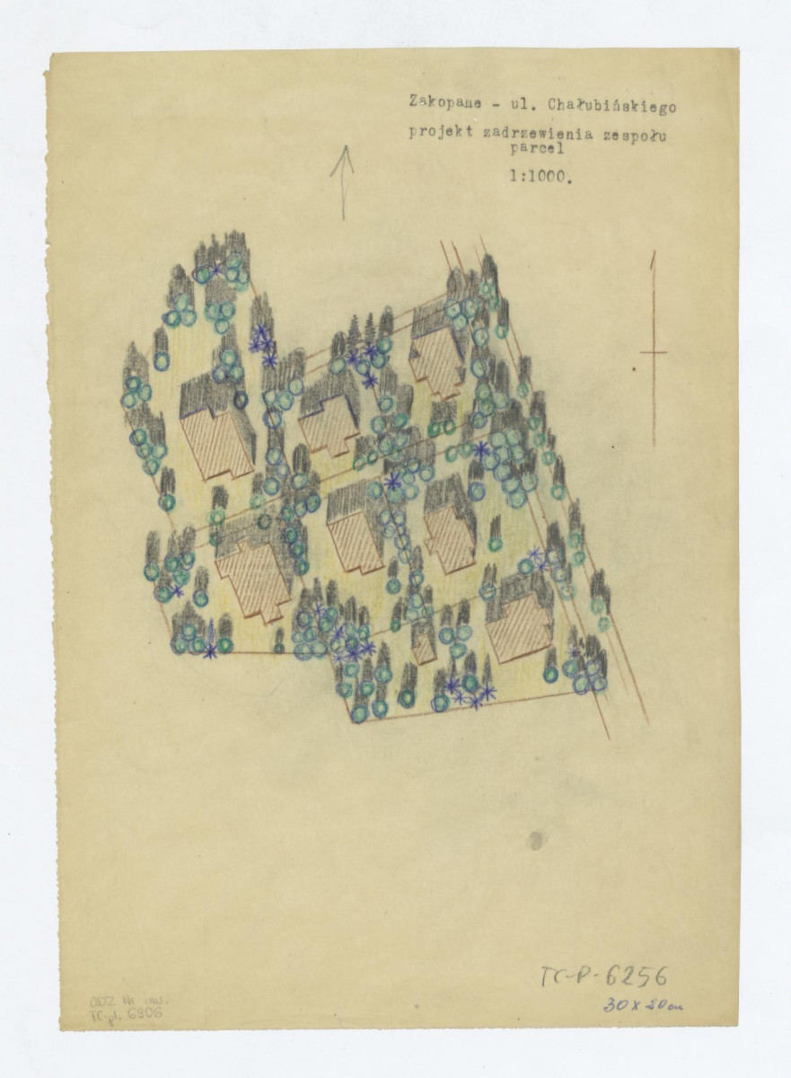 projekt zadrzewienia zespołu parcel przy ul. Chałubińskiego rysunek aksonometryczny, skan 1