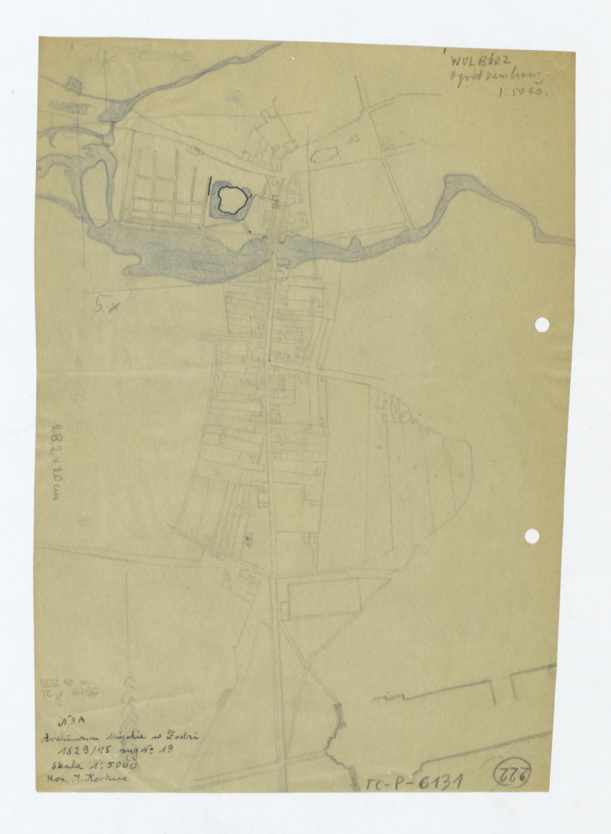 plan sytuacyjny - przerys z Archiwum Miejskiego w Łodzi 1829/45 sygnatura nr 19, skan 1