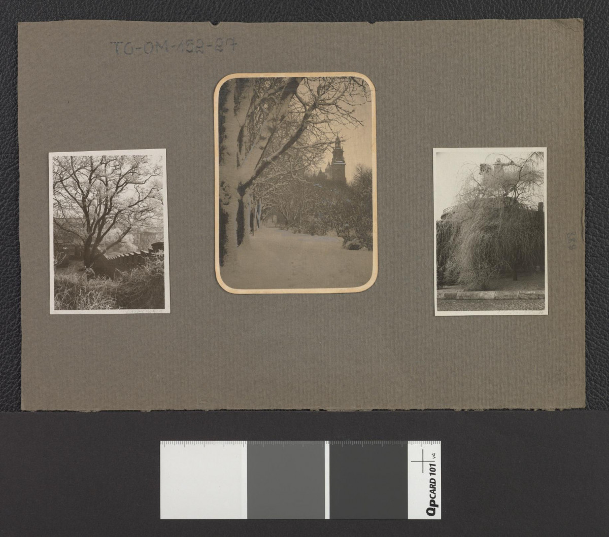 3 fotografie przedstawiające fragmenty Plant z widocznym w tle Wawelem oraz konnym pomnikiem Tadeusza Kościuszki, skan 1