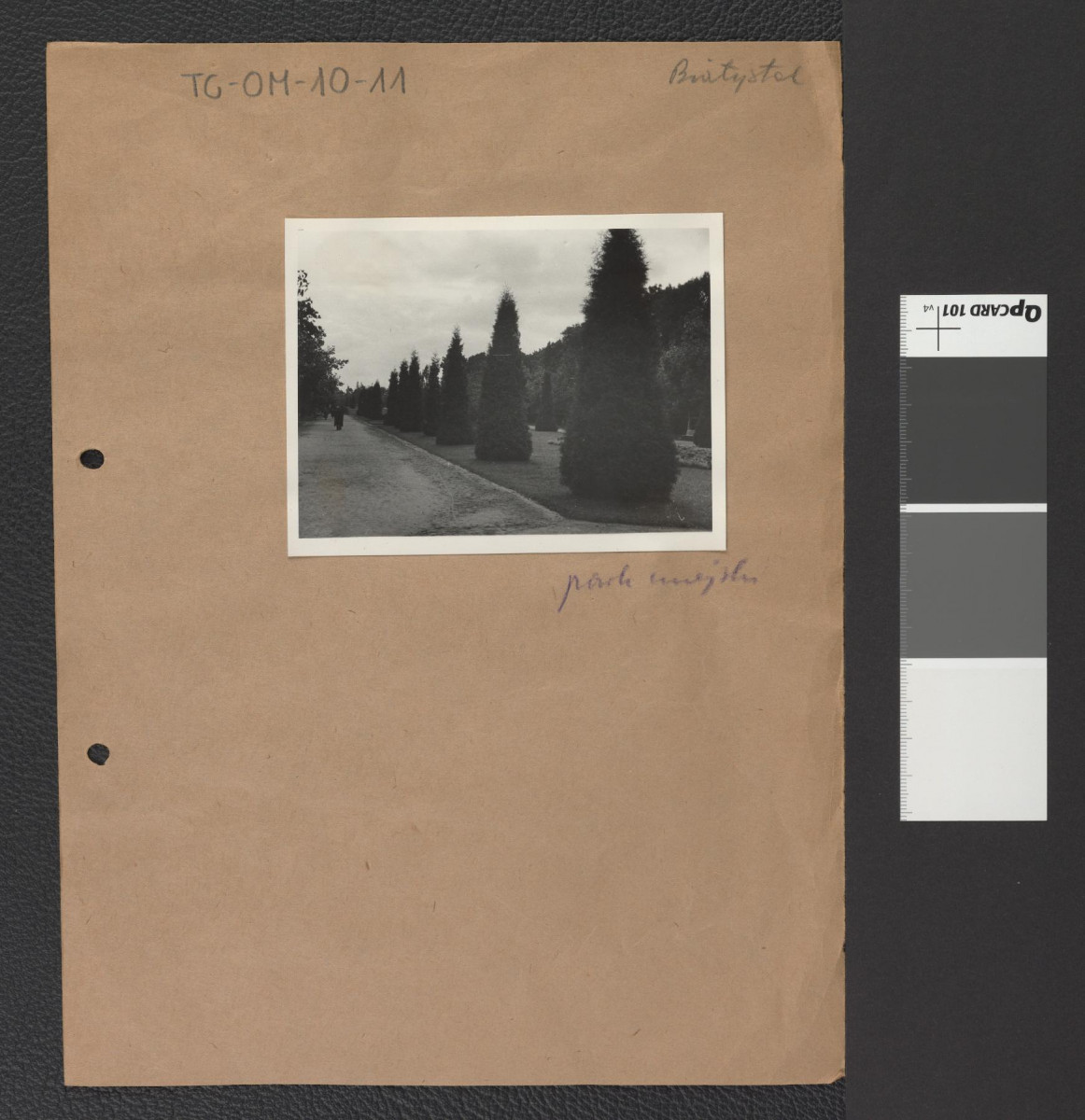 widok na aleję cyprysów, skan 3