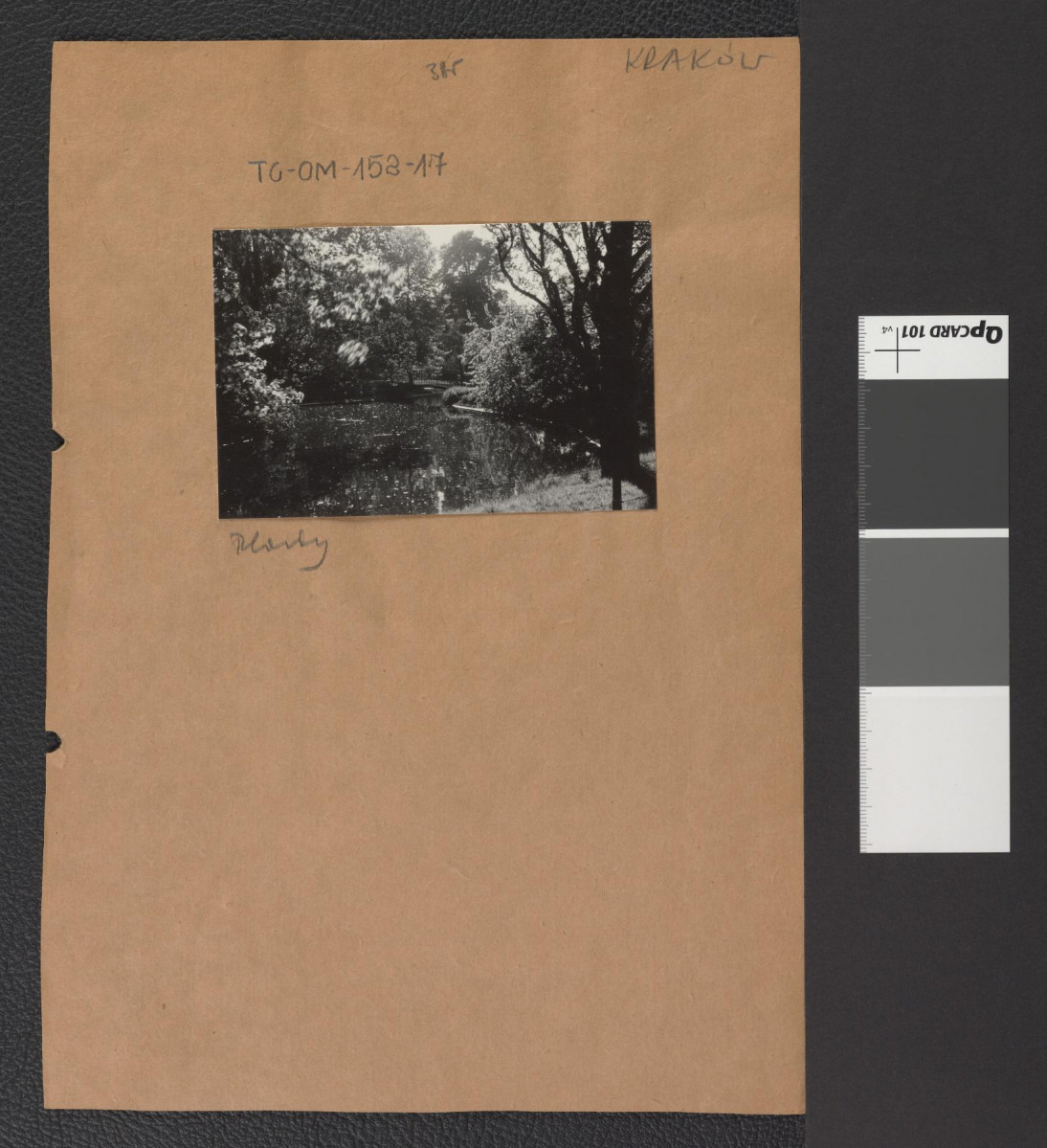 mostek w miejscowym parku, skan 1