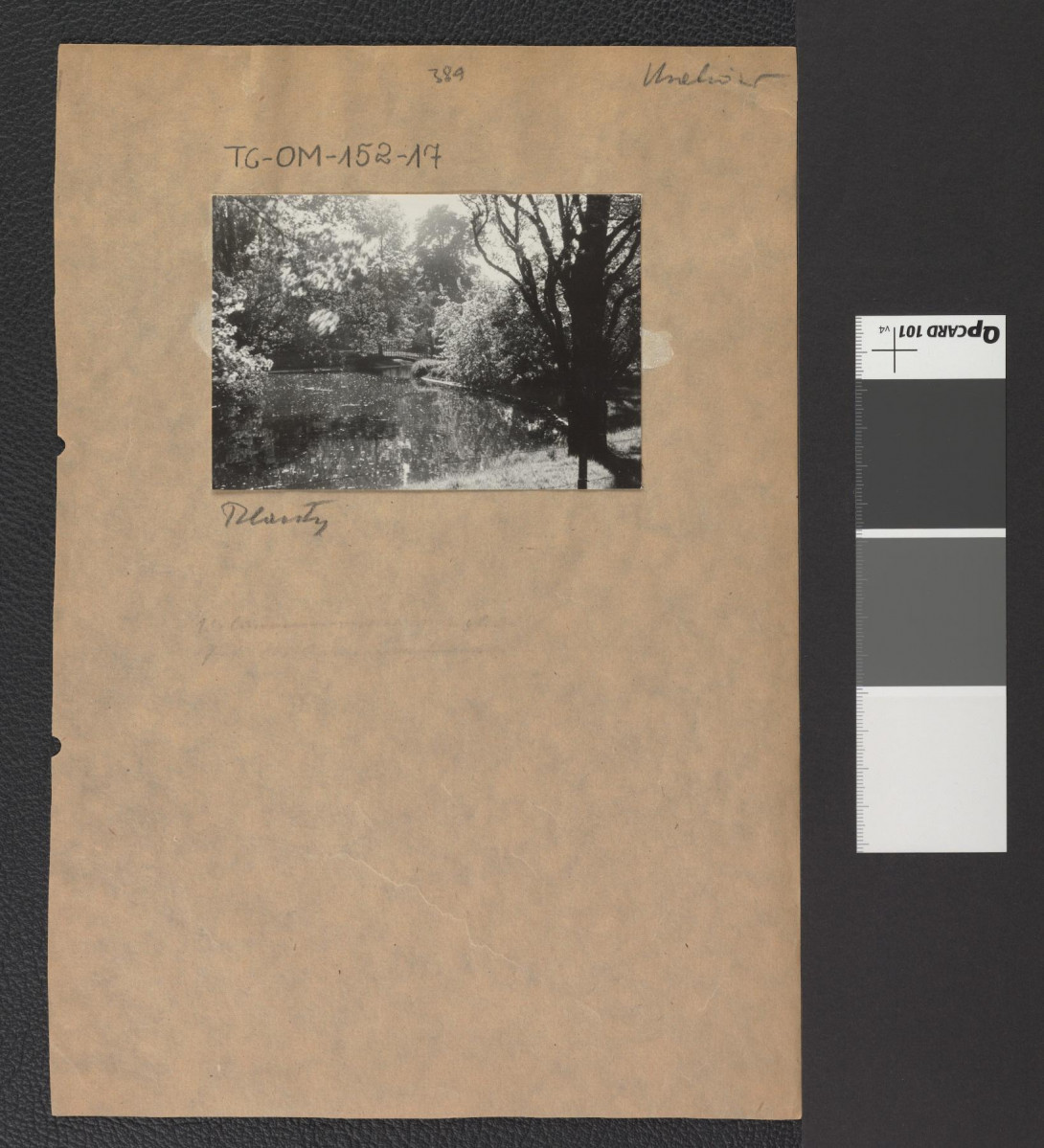 mostek w miejscowym parku, skan 2