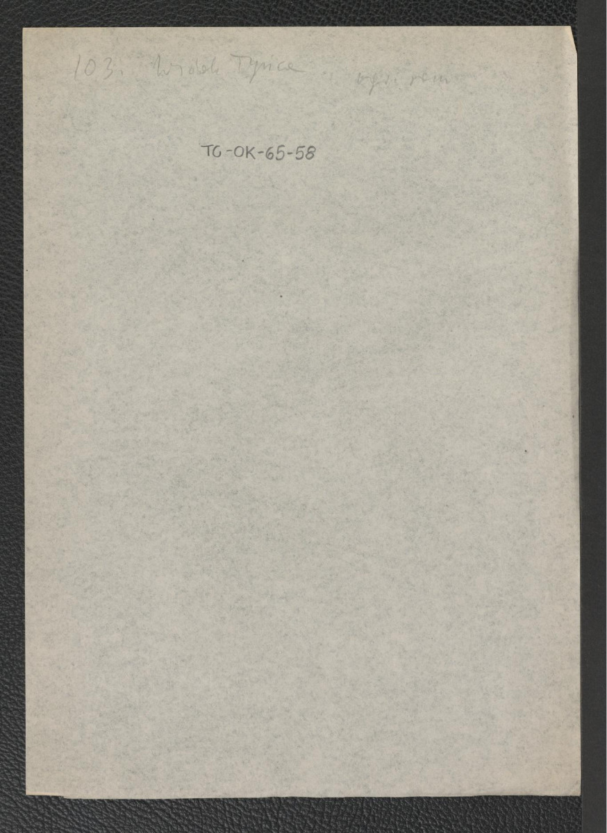 wzmianka dotycząca ogrodu romańskiego w Tyńcu, skan 1