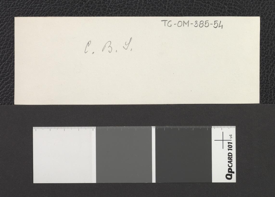 panorama Warszawy w roku 1776 (fotografia dwubarwna reprodukcji ryciny – negatyw w zbiorach Centralnego Biura Inwentaryzacji), skan 2