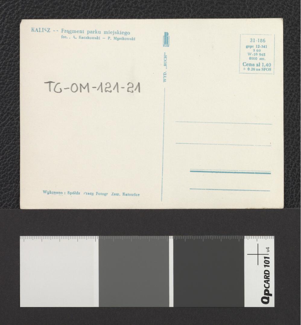 fragment parku miejskiego, skan 2