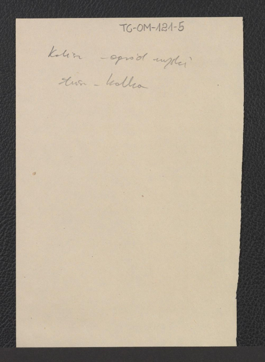 karty wzmiankujące plan ogrodu miejskiego (1 : 4200), skan 2