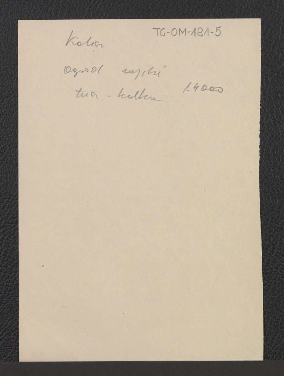 karty wzmiankujące plan ogrodu miejskiego (1 : 4200), skan 4