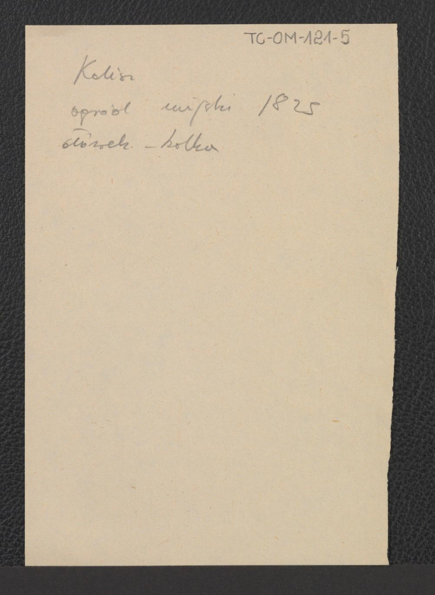 karty wzmiankujące plan ogrodu miejskiego (1 : 4200), skan 5