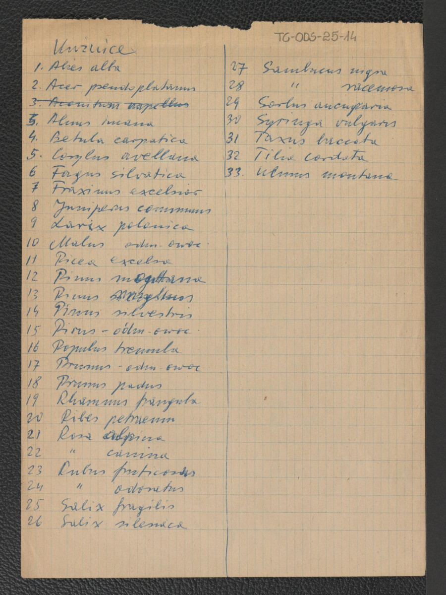 karty o charakterze brudnopisu zawierające m.in. propozycje do projektu skansenu, obliczenia finansowe i wyceny oraz wykaz rodzajów drzew i krzewów występujących na terenie Kuźnic, skan 13