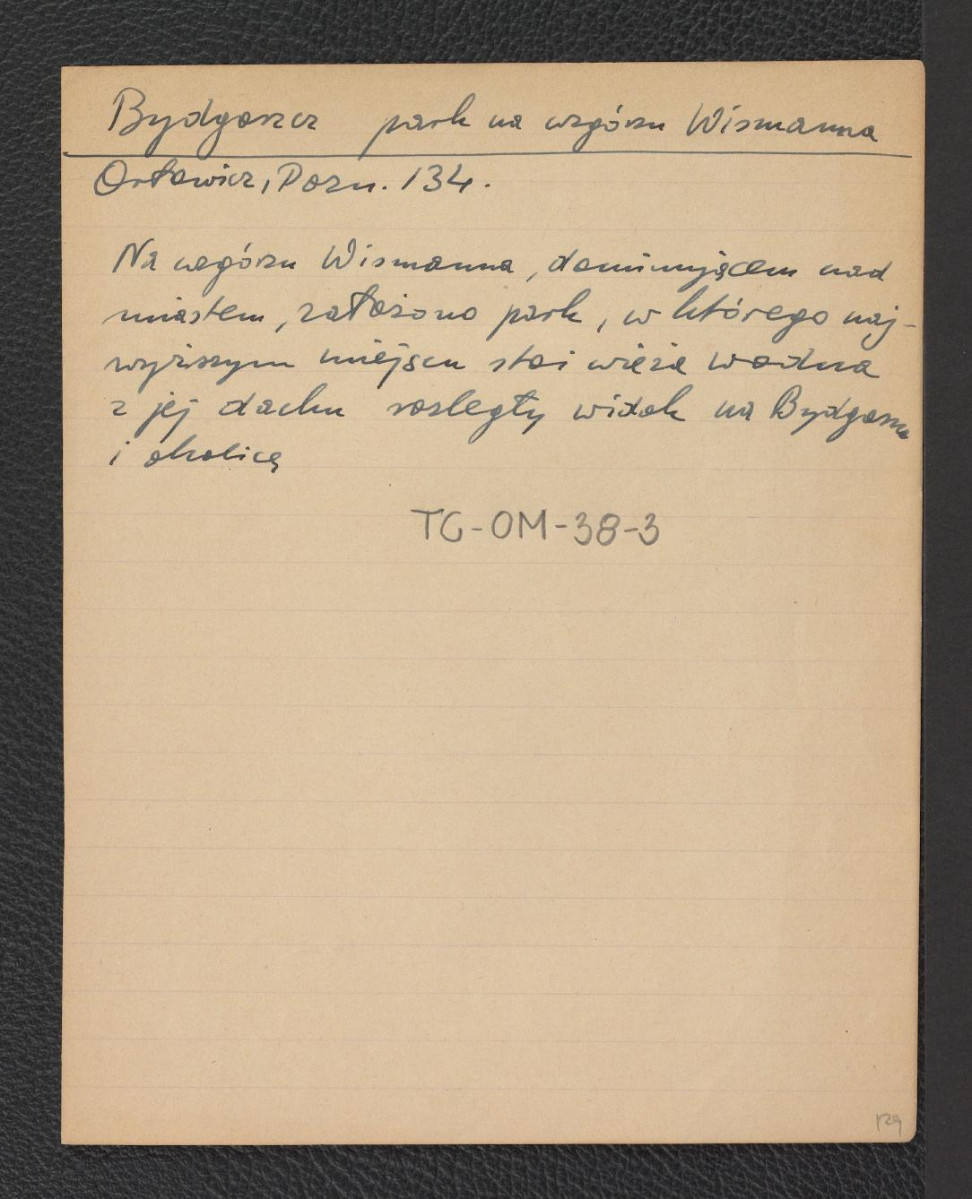 wypisy z Orłowicz M., Ilustrowany przewodnik po poznańskiem, Lwów-Warszawa 1920, s. 134 wzmiankujące park miejski w którym szczególną uwagę zwraca fontanna z rzeźbami autorstwa Lepkego oraz wieżę wodną na wzgórzu Wismana dominującym ponad miastem, skan 1