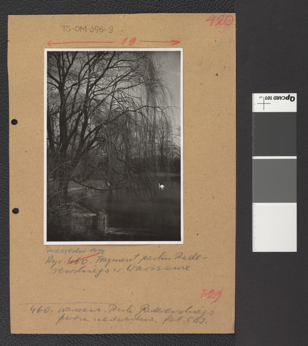 fragment Parku (fotografia dwubarwna ze zbiorów Centralnego Biura Inwentaryzacji), skan 1